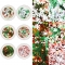 1 Box/Set Laser Snowflake Star Christmas Tree Sequin Nail Polish Winter Christmas Theme Nail Decal Boxed Decoration Set